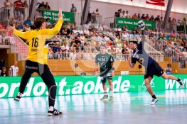 180803FRJPNFB026.JPG
